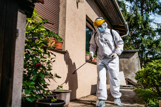 Best Pest Control for Homes  in Kelly Ridge, CA