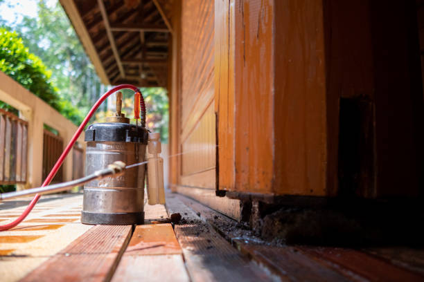 Best Affordable Pest Control Services  in Kelly Ridge, CA